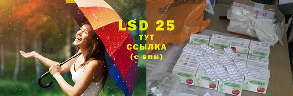 сатива Корсаков