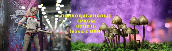 соль ск Костерёво