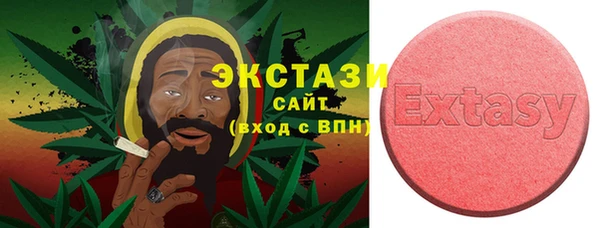 сатива Корсаков