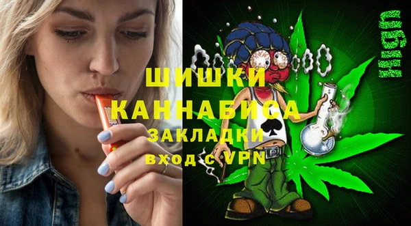 соль ск Костерёво