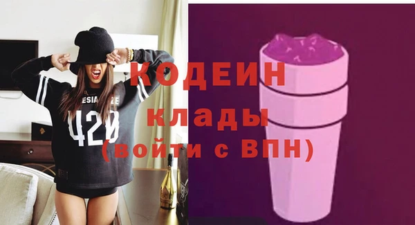 сатива Корсаков