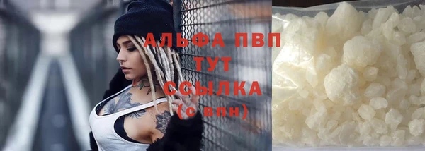 сатива Корсаков