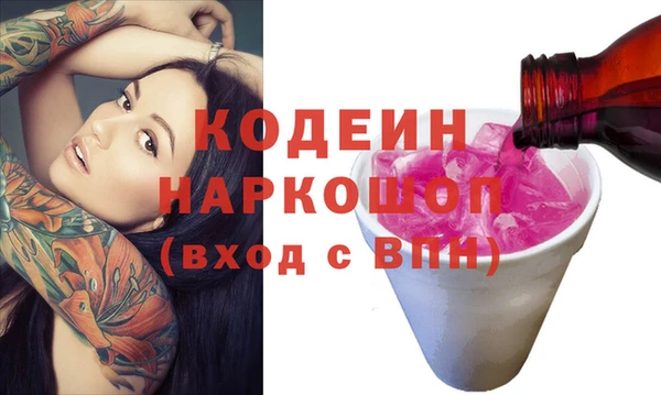 сатива Корсаков